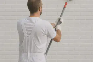 Why Do Painters Backroll?