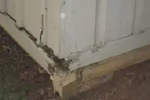 Wood Rot