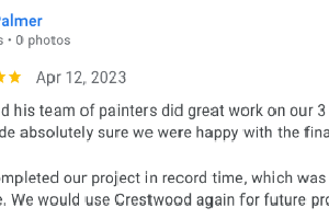 Nice Painting Review!