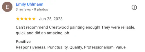 customer review